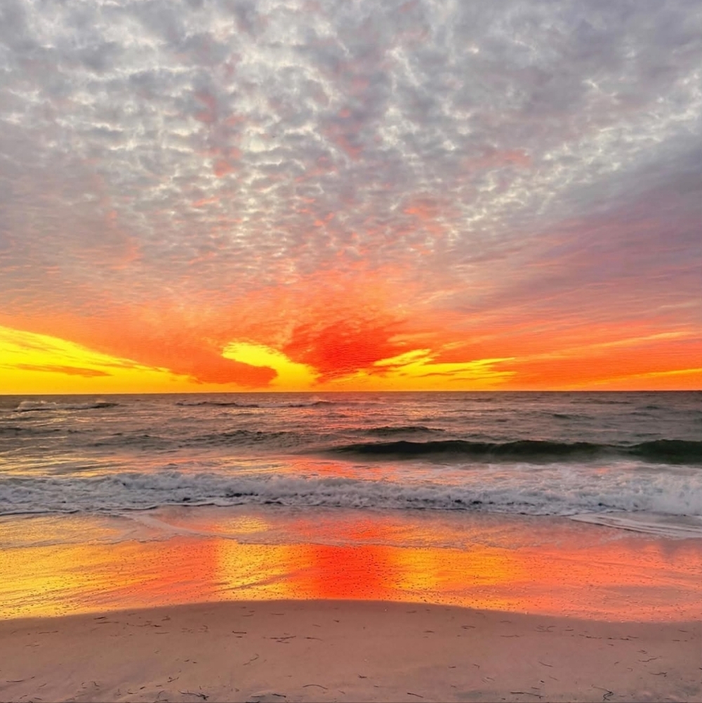 Meet your Posher, Annmarie